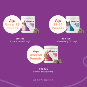 Pet CBD Calming Soft Chews for Dogs